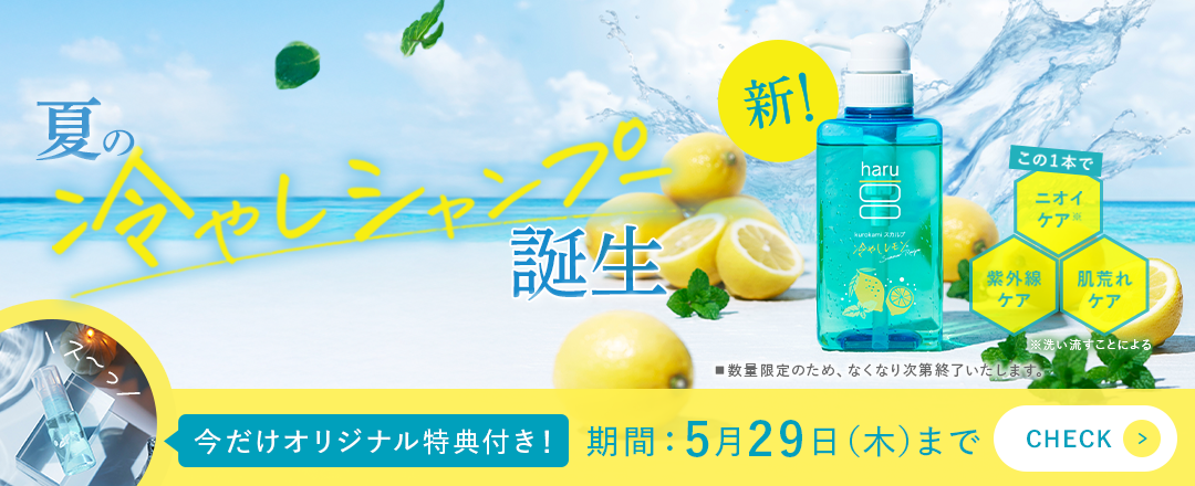 数量限定 夏の冷やしシャンプー
