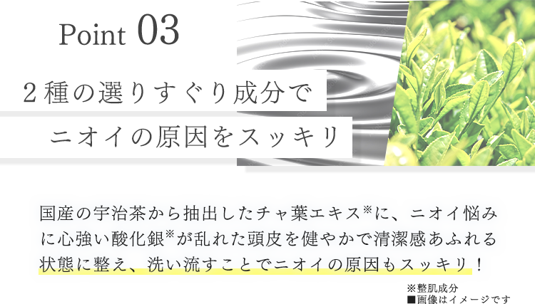 Point03 2種の選りすぐり成分でニオイの原因をスッキリ