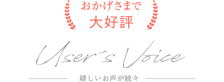 Users Voice