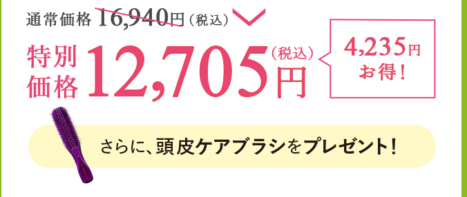 通常価格16,940円（税込）が特別価格12,705円（税込）で4,235円お得！