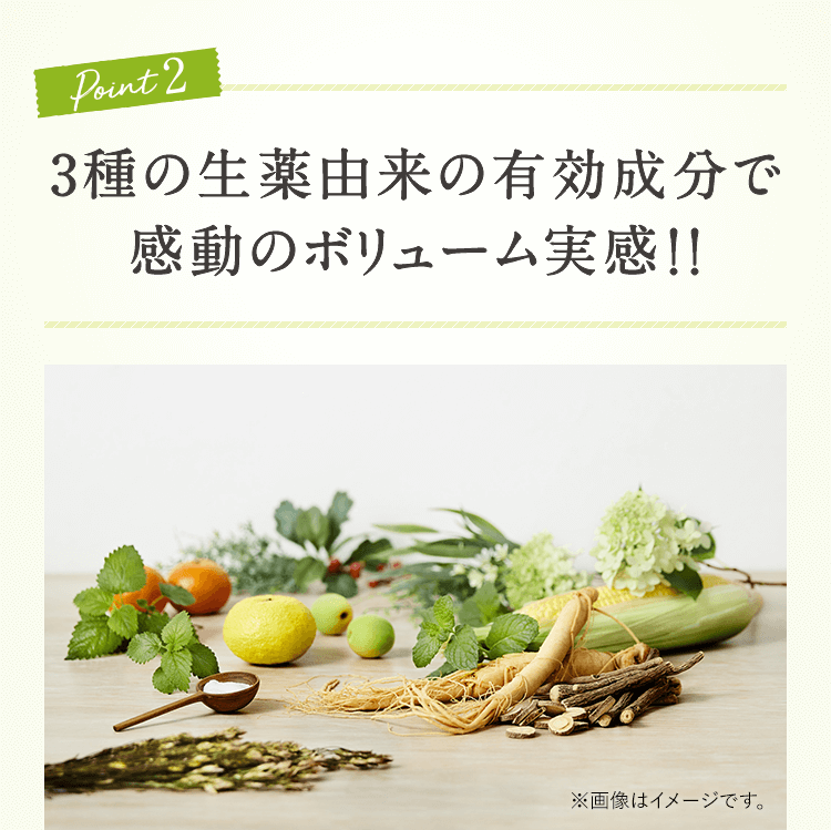 Point2 3種の生薬由来の有効成分で感動のボリューム実感!!