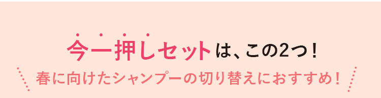 今一押しのセットはこの2つ