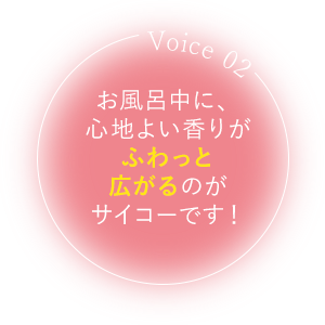 Voice01